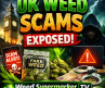 UK Weed Scams Exposed: What to Watch Out For in 2025