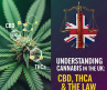 Understanding Cannabis in the UK: CBD, THCa & the Law